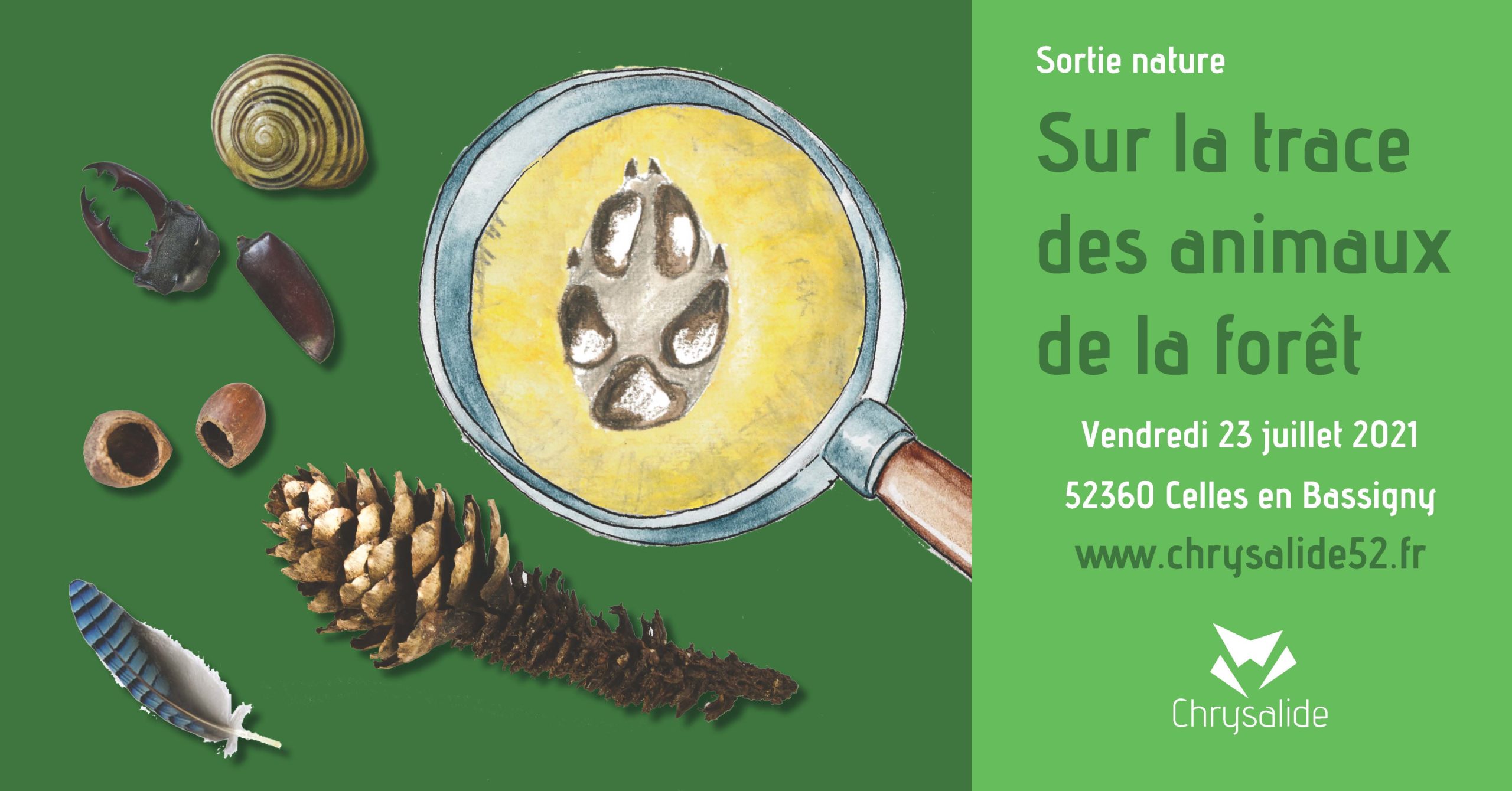 Sortie nature - Sur la trace des animaux de la forêt - Chrysalide52 - Michael Geber - Haute-Marne