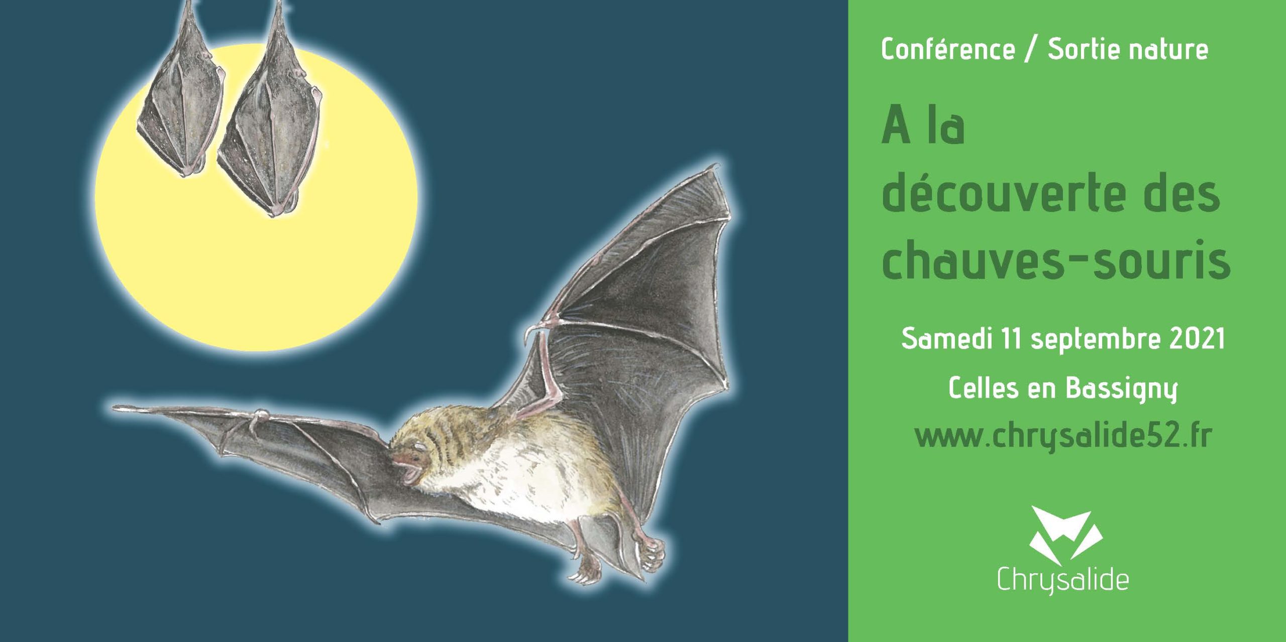 Conférence - Sortie nature - A la découverte des chauves-souris- Chrysalide52 - Michael Geber - Haute-Marne