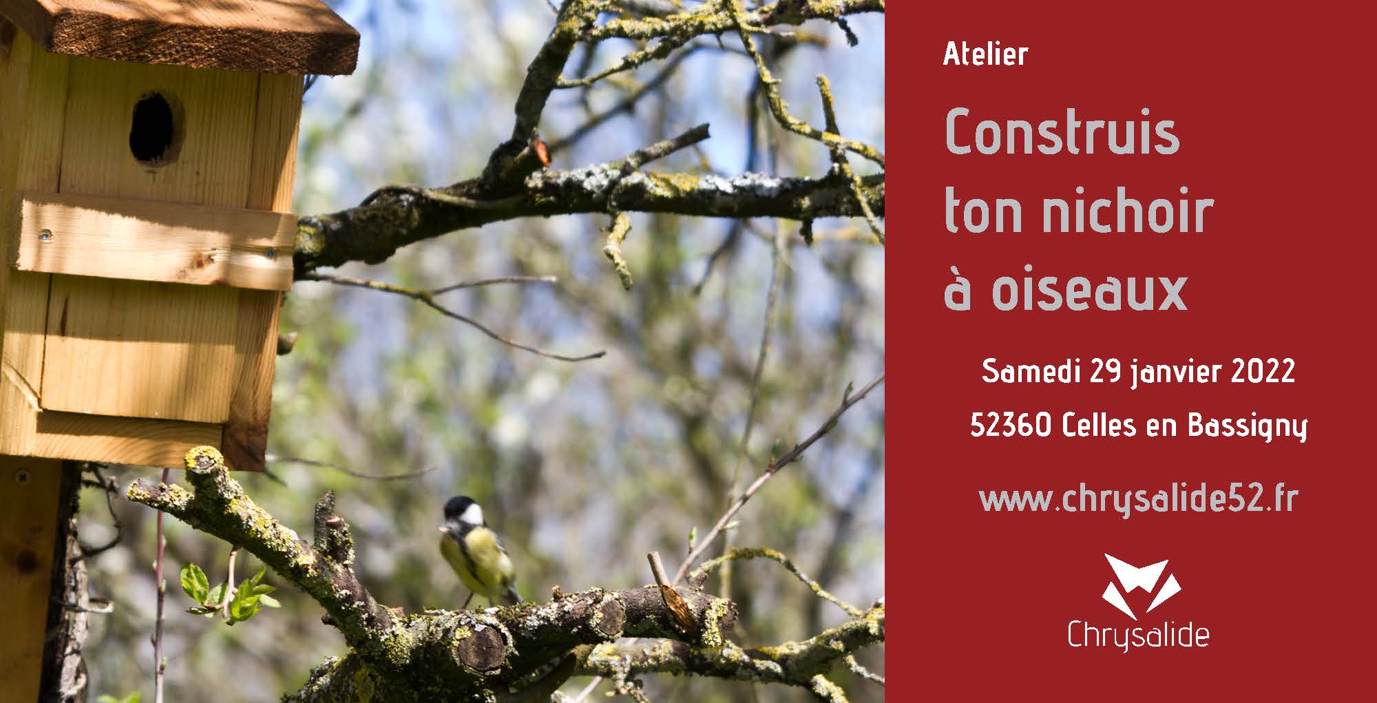 Atelier - Construis ton nichoir à oiseaux- Chrysalide52 - Michael Geber - Haute-Marne